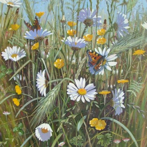 Butterflies