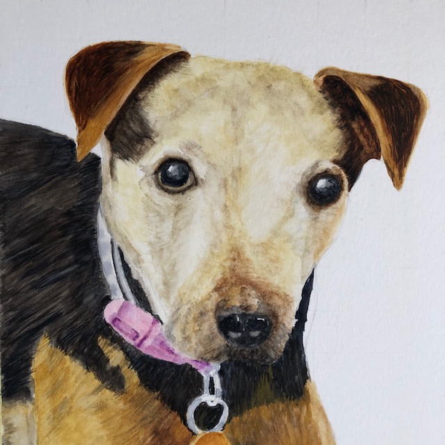 Crit_LizHammond_Molly