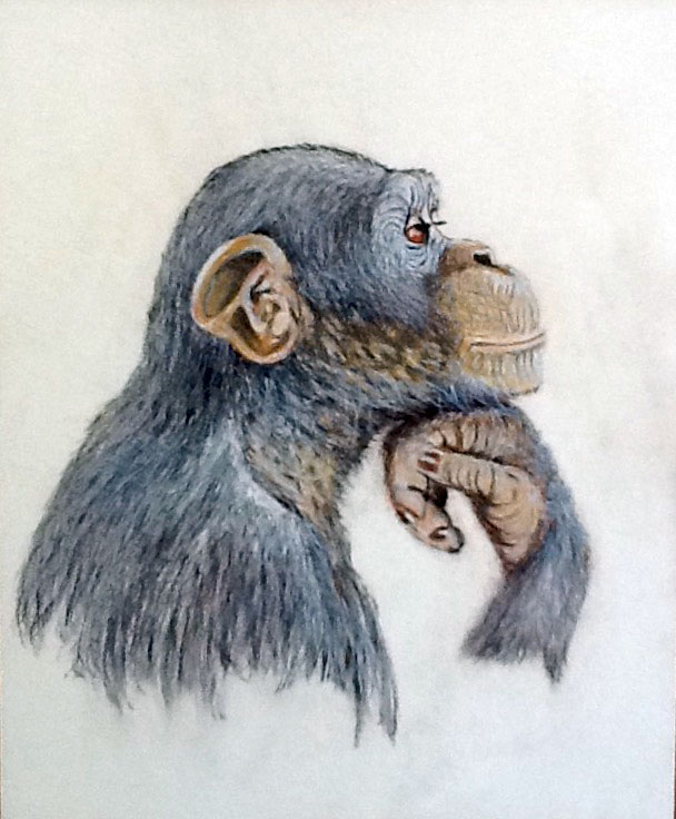 Challenge_Self portrait on lockdown