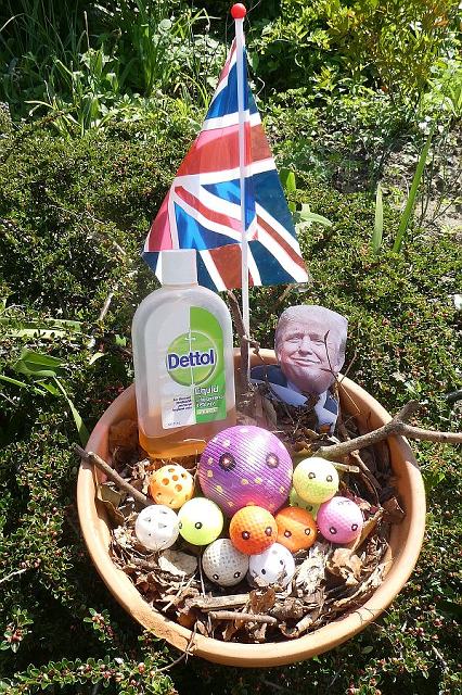 crit_davetribe_Corona Nest