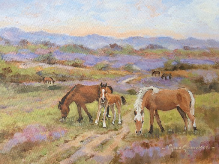 crit_ginagrimwood_Ponies grazing in the New Forest