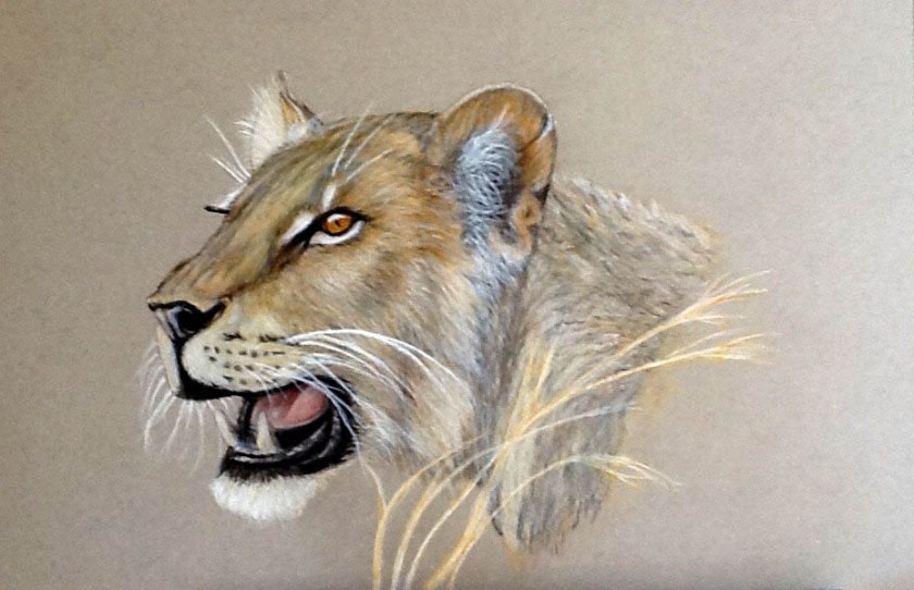 Crit_TonyDevivoBigCat2