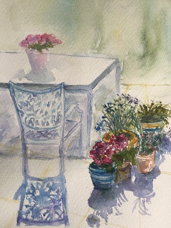 Challenge_Summer shadows - seen from my window