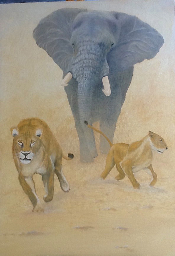 crit_tonydevivo_Ella's. I told you should have given him his peanuts back!!