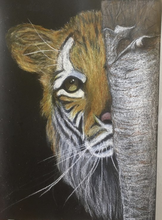 crit_tonydevivo_Boo again!