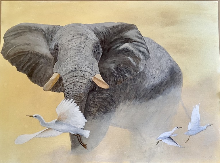 crit_tonydevivo_Good job he can't fly