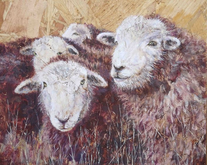 Challenge_Sheep's eyes