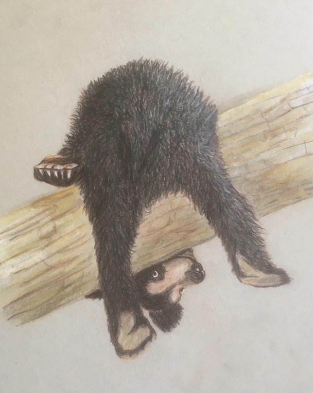 crit_tonydevivo_I look at it this way