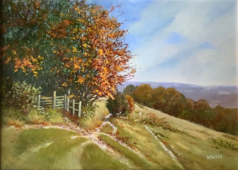 North Downs Walk