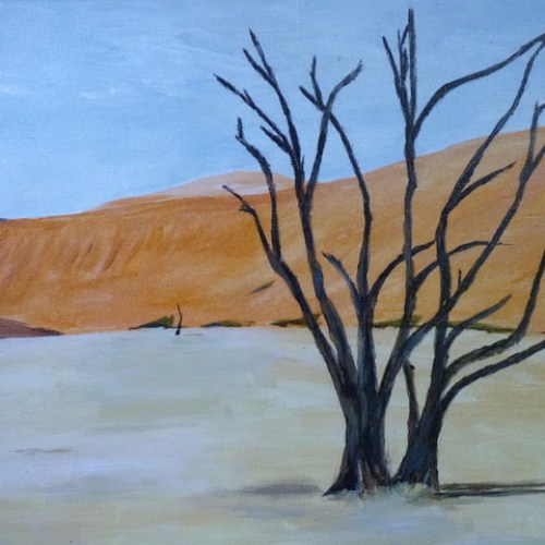 Dead Vlei in the Namib Desert