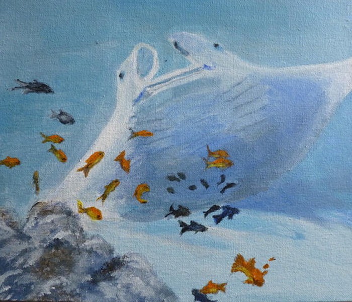 The mighty manta ray