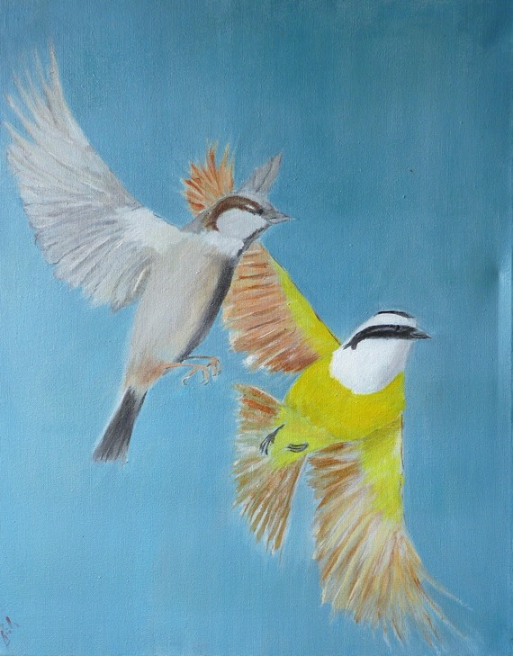 Where the wild birds play
