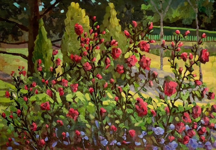 Red Bloom Brilliance