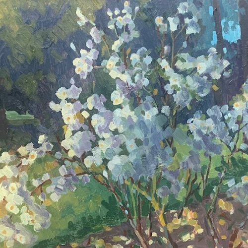 Whispers of Blossom