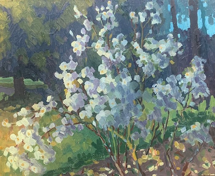 Whispers of Blossom