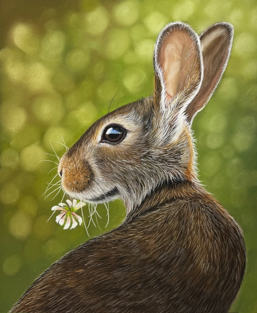 Hare