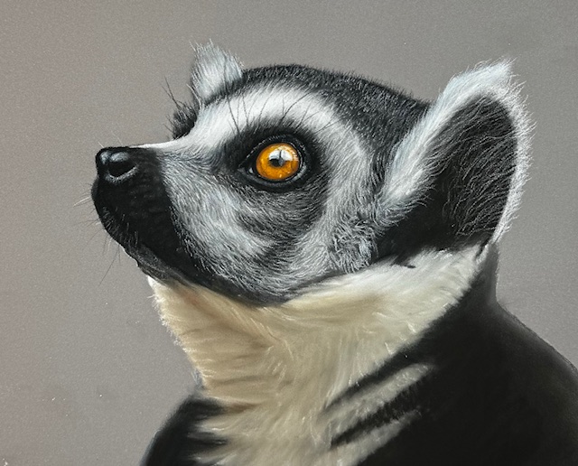 Lemur