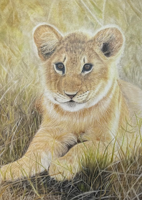 Lion cub