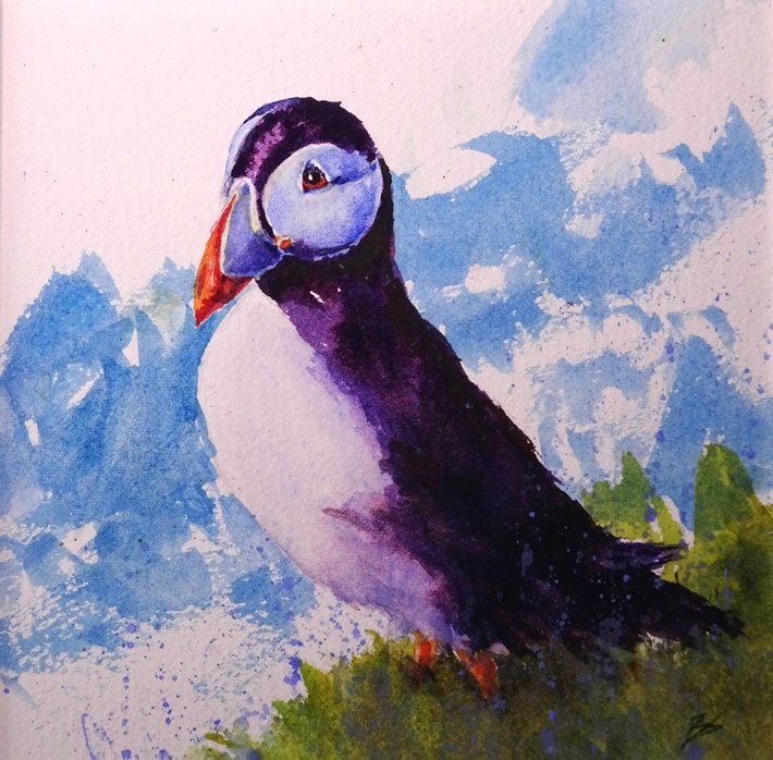 Puffin
