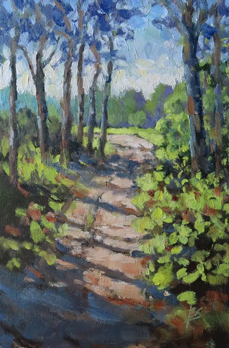 Sunny woodland path