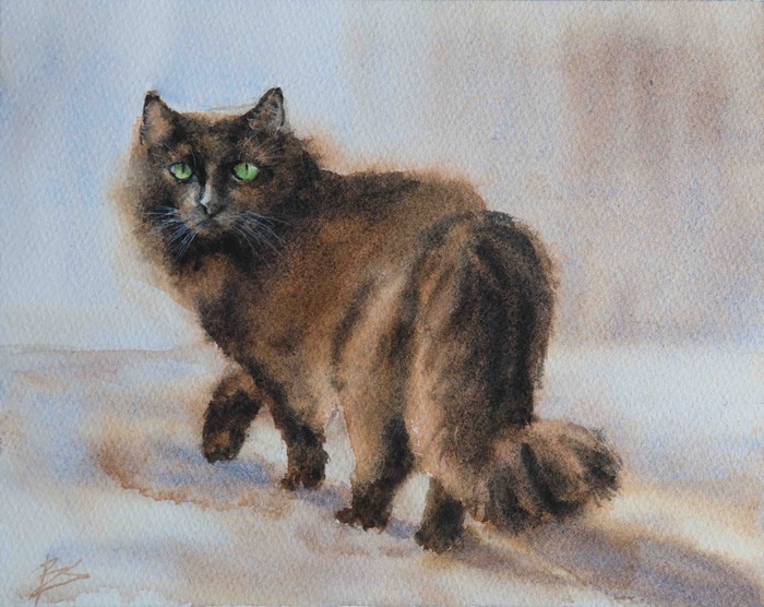 Stopped in his tracks