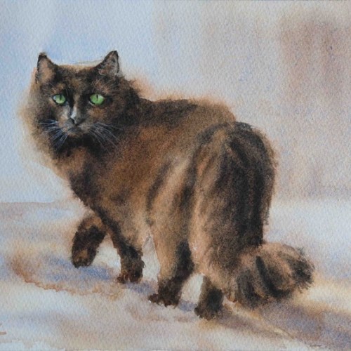 Stopped in his tracks