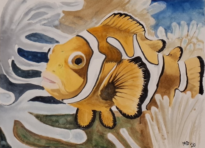 Nemo's been found