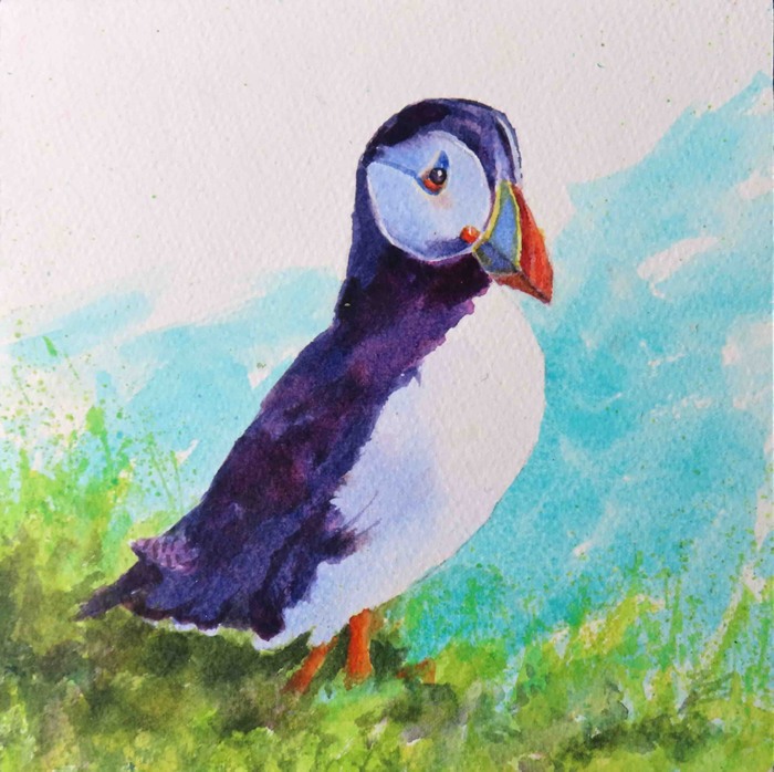 Puffin