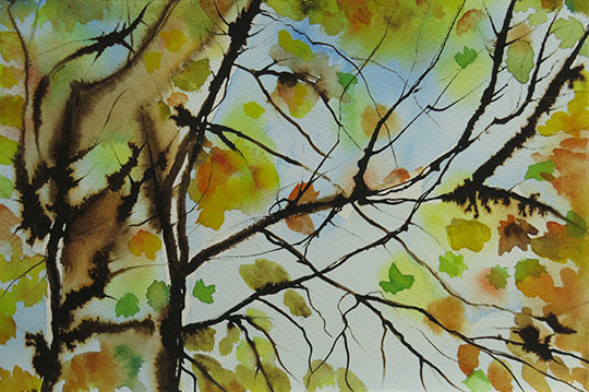 Autumn leaves