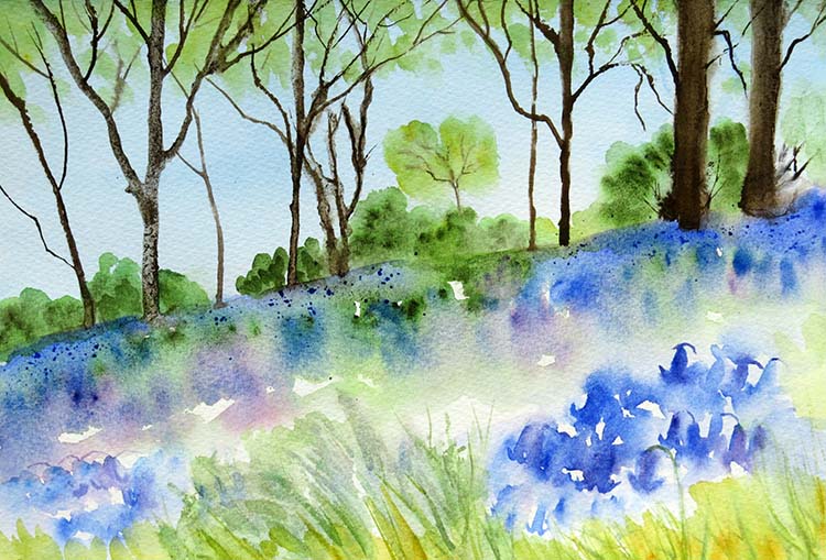 Bluebell light
