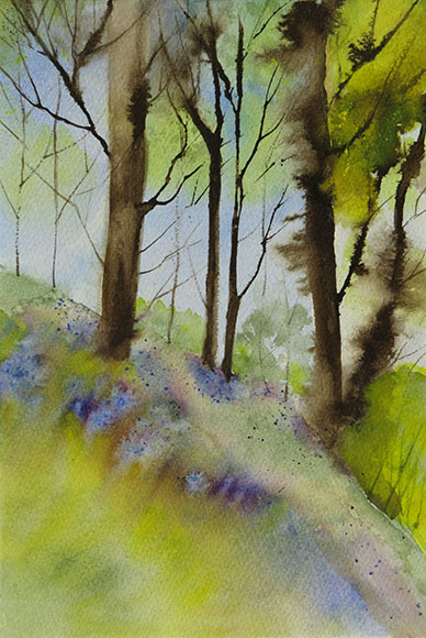 Bluebell wood