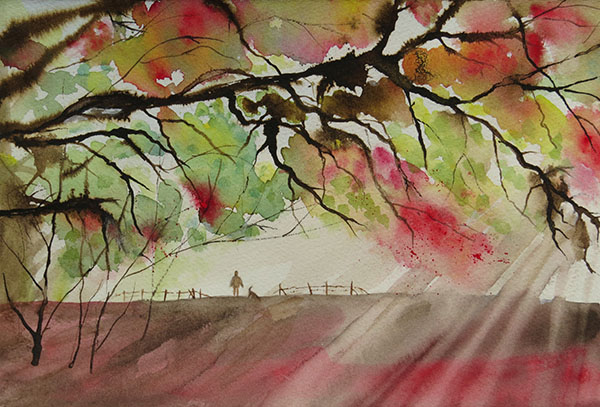 Early autumn walk