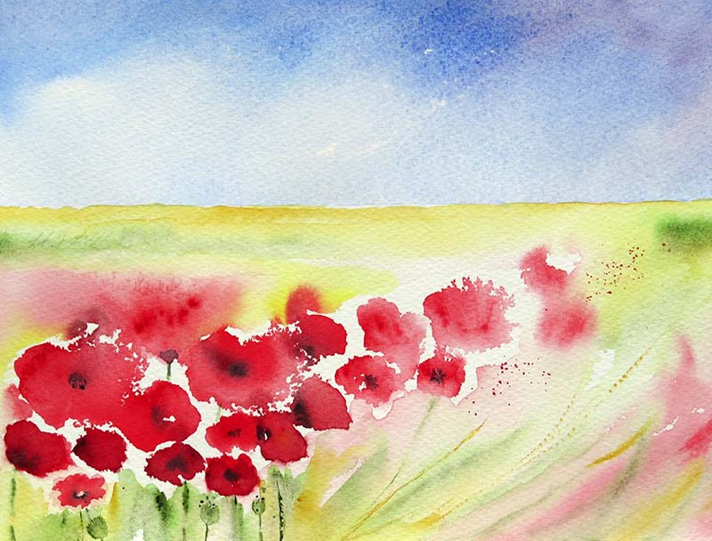 Fiery poppies