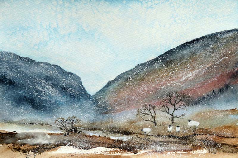 Mountain sheep in winter