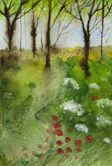 Off the beaten track