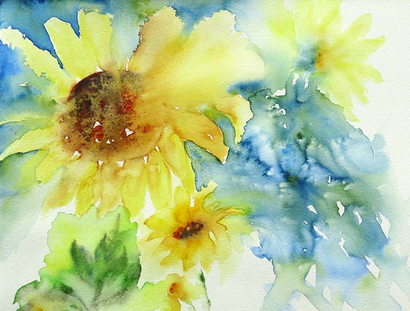 Sunflower explosion