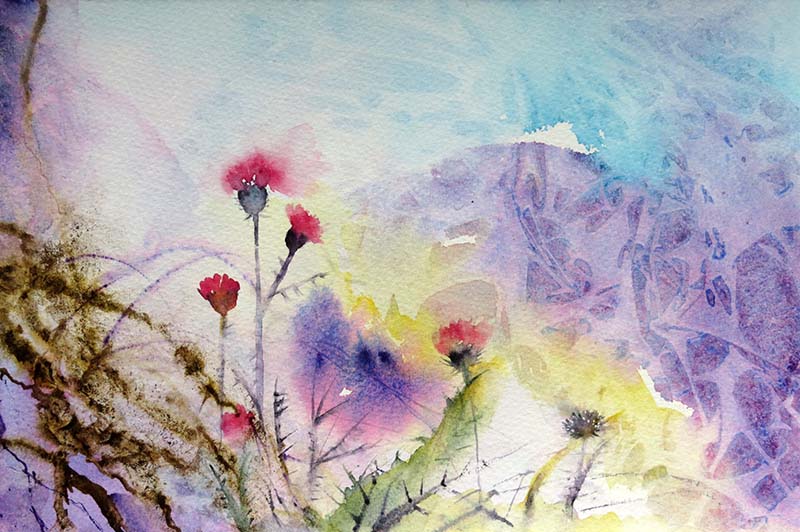Thistles in the landscape