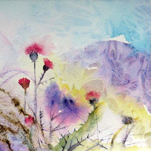 Thistles in the landscape
