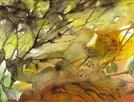 Undergrowth