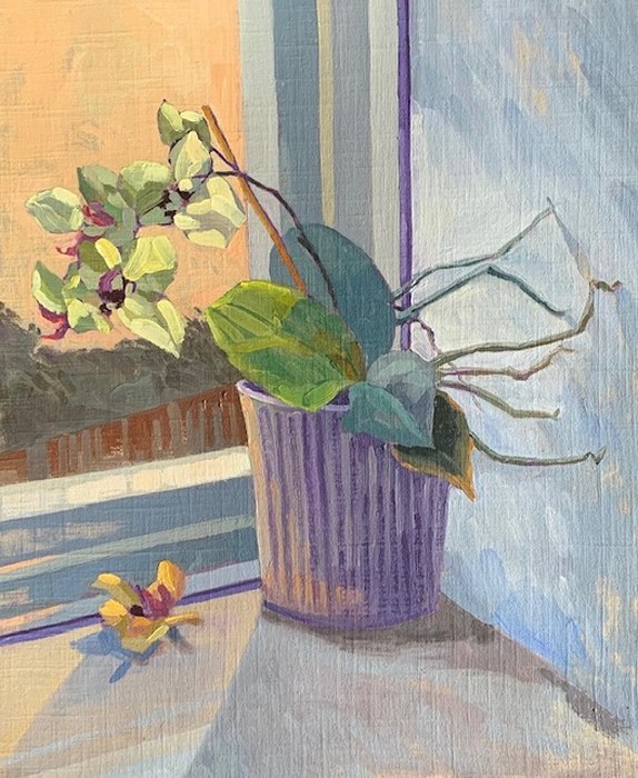 Soft Morning Bloom