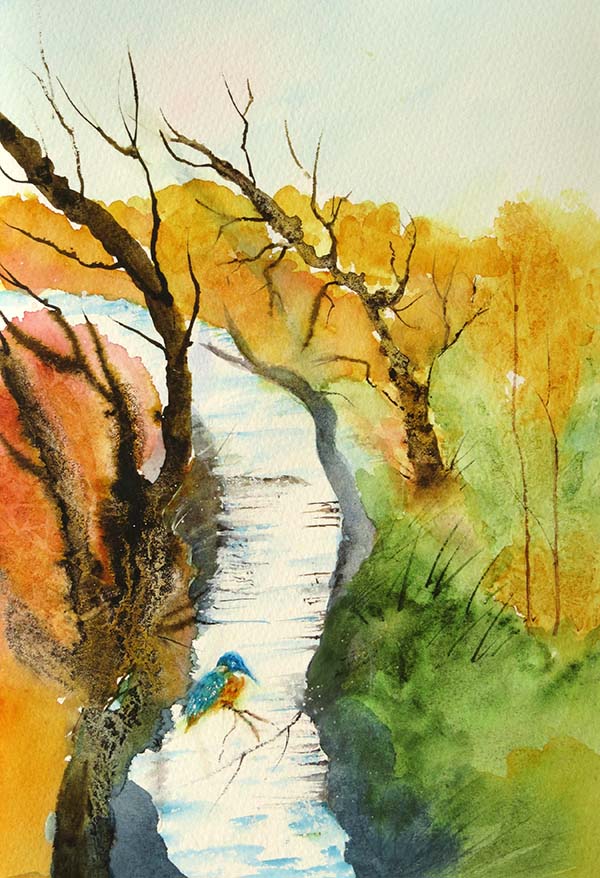 Kingfisher watch