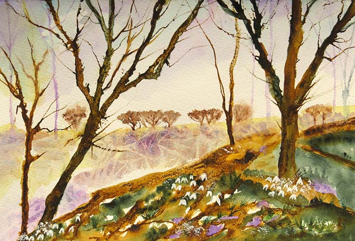 Snowdrops in Nonsuch Park